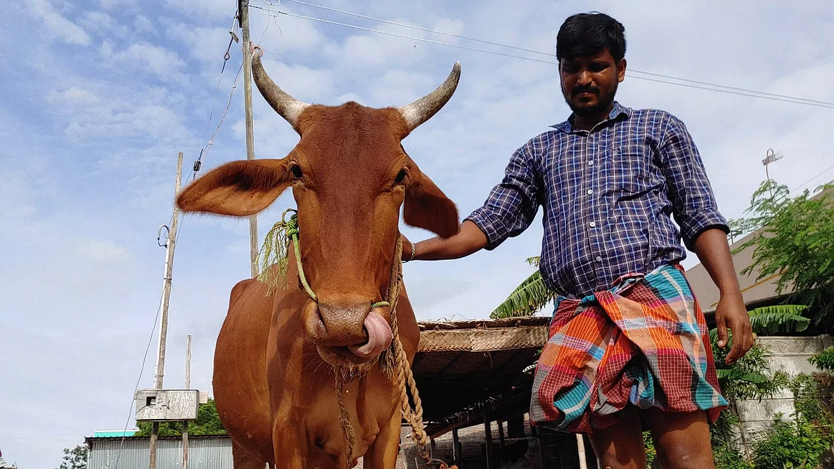 மாட்டுடன் தயாளன்