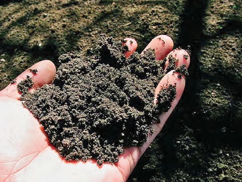 அங்கக உரம் - மண்ணின் நலம் மற்றும் வளம் காக்கும் முக்கிய காரணி