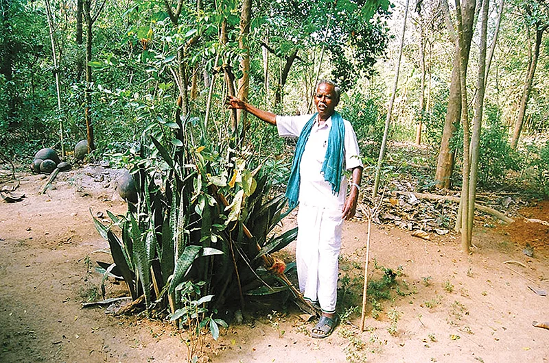 மரம் தங்கசாமி