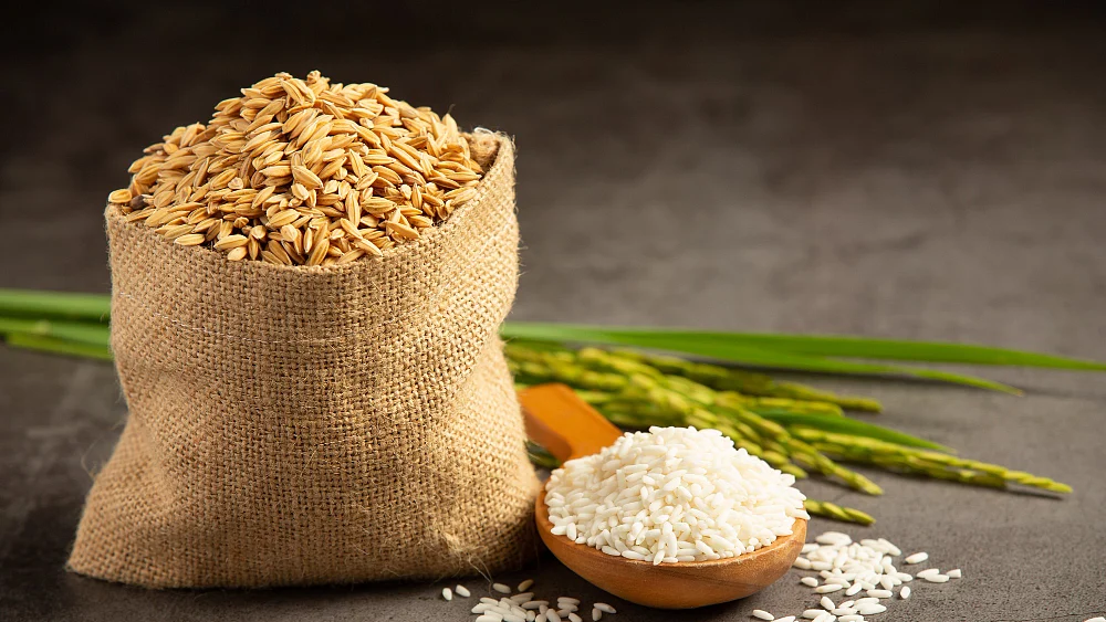 Rice