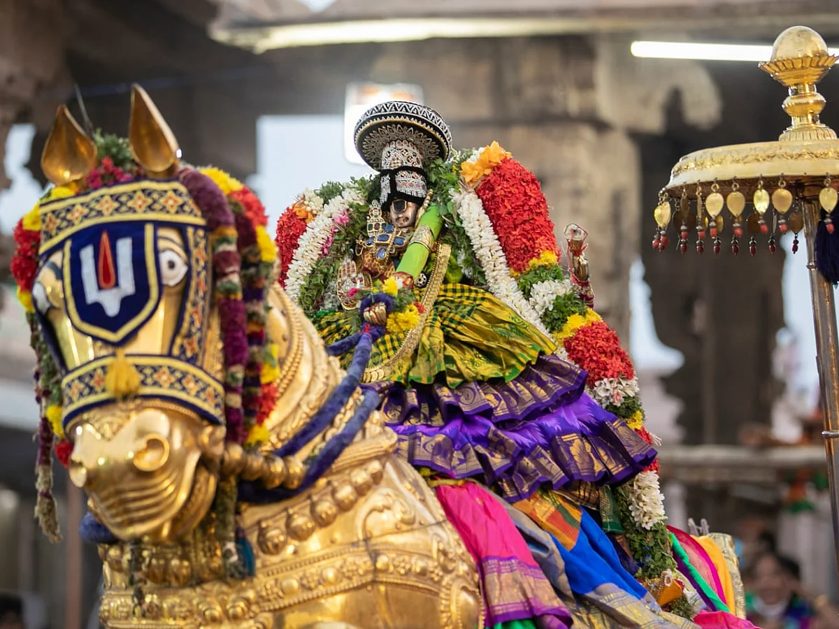 ஸ்ரீரங்கம் ரங்கநாதர் கோயில் வைகுண்ட ஏகாதசி விழாவின் திருமங்கைமன்னன் வேடுபறி நிகழ்வு! | Photo Album