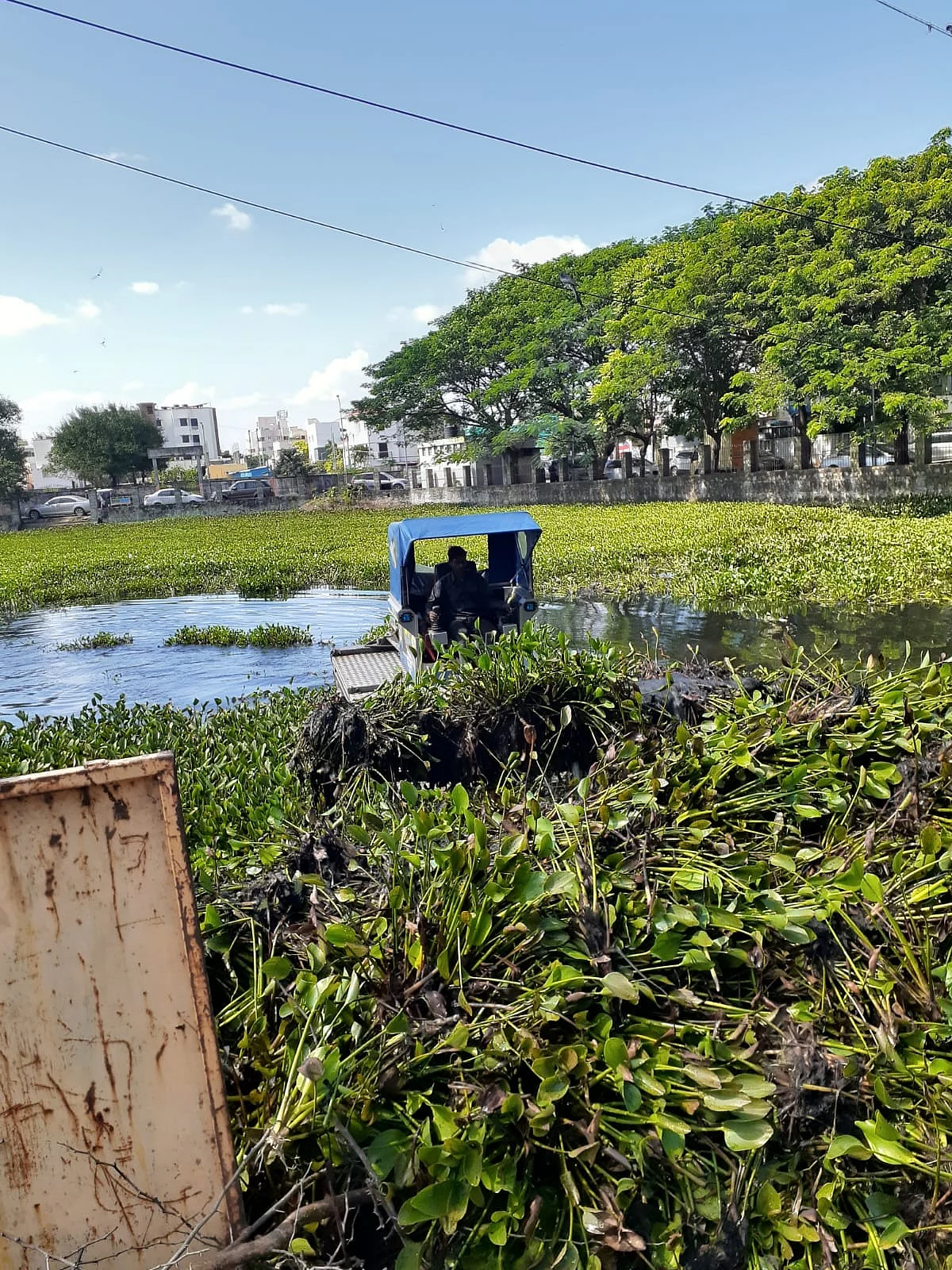 ஆகாயத்தாமரையை அகற்றும் மாநகராட்சி ஊழியர்கள்