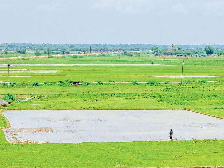 "மழையால் பாதிக்கப்பட்டோம்; இப்ப உரத் தட்டுப்பாட்டால் தவிக்கிறோம்!"- கையறு நிலையில் டெல்டா விவசாயிகள்
