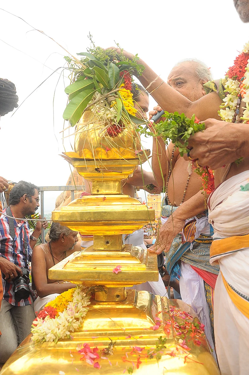தர்ப்பைக்குச் சமமானதா அறுகம்புல்?