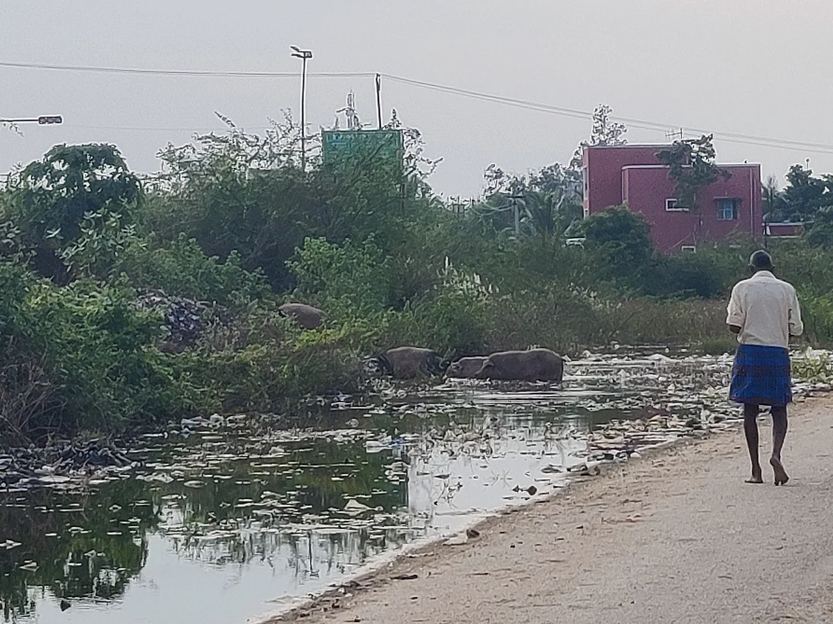 சுகாதார சீர்கேடு