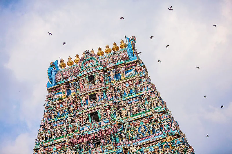 ராகமாக மாறிய நாகம்!