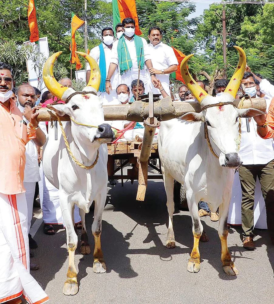 பல்ப் வாங்கலையோ... பல்ப்! - தமிழக பா.ஜ.க பரிதாபங்கள்!