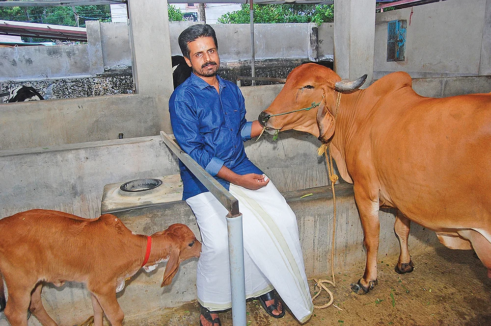 மாட்டுடன் ஆனந்த சுந்தரம்