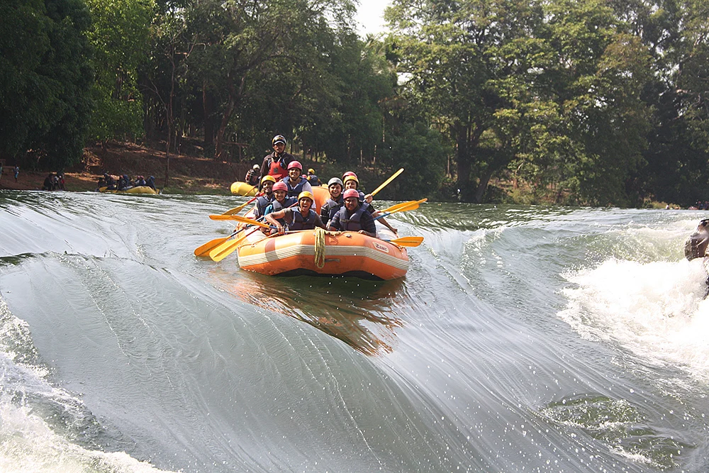 Dandeli