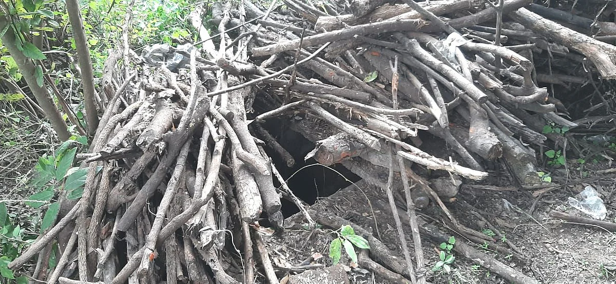 நகைகள் புதைக்கப்பட்டிருந்த இடம்