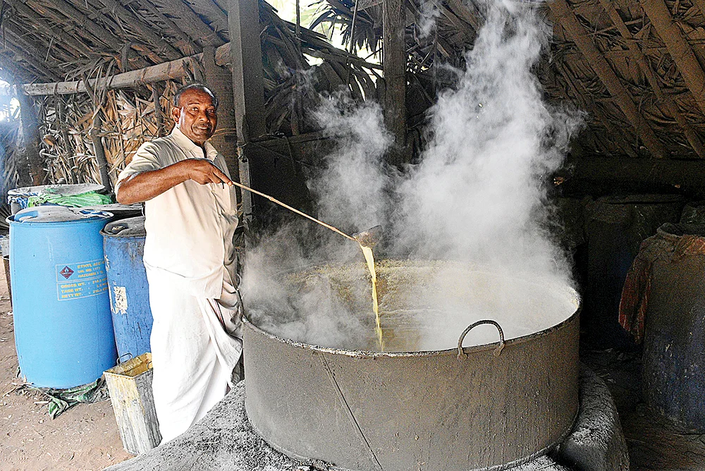 இப்போ என்ன செய்றாங்க?! - ஆடு மேய்க்கிறார்... கருப்பட்டி விற்கிறார்...