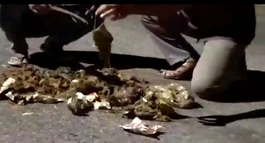 யானை சாணத்தில் மாஸ்க்