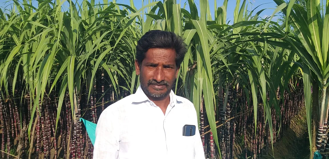 அண்ணாதுரை