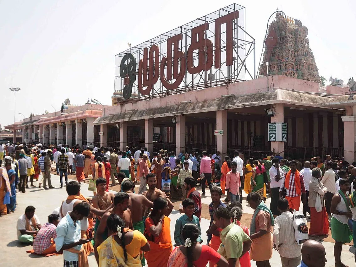 பழநியில் பஞ்சாமிர்த தட்டுப்பாடு; ஏமாற்றத்துடன் திரும்பும் பக்தர்கள்! காரணம் என்ன?