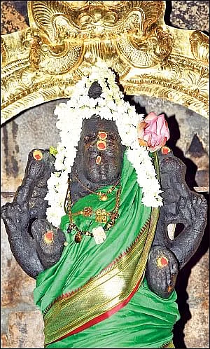 சிவகாமி சுந்தரி