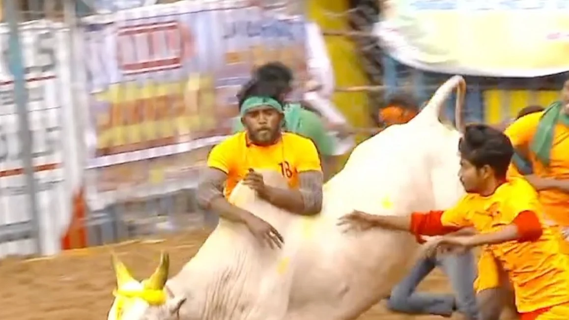 பாலமேடு ஜல்லிகட்டில் வென்ற வீரர்