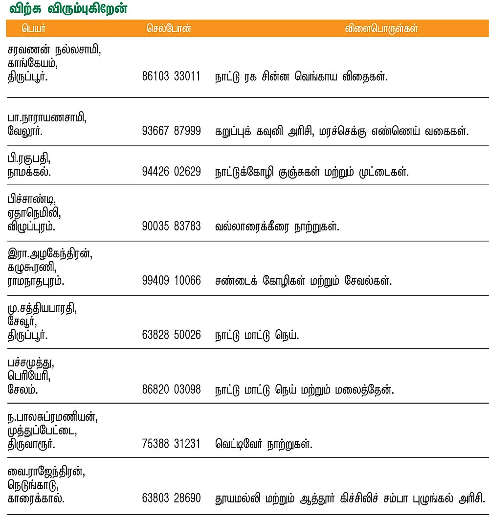 பசுமை சந்தை