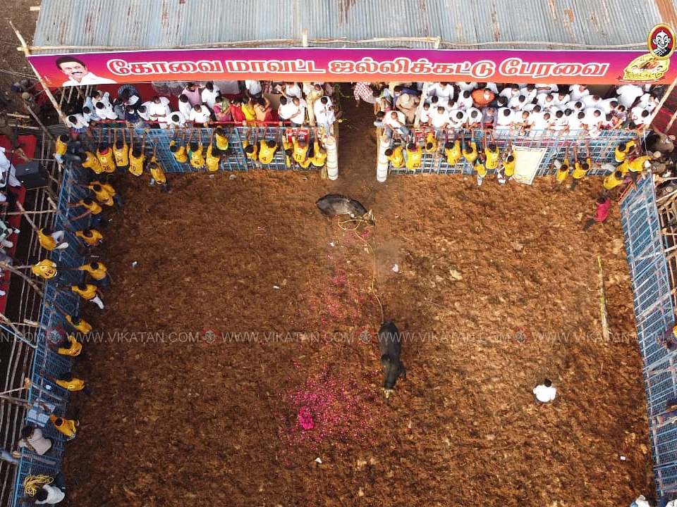 கறார் போலீஸ்... கடுப்பான மாட்டு உரிமையாளர்கள்! - கோவை ஜல்லிக்கட்டு ரிப்போர்ட்