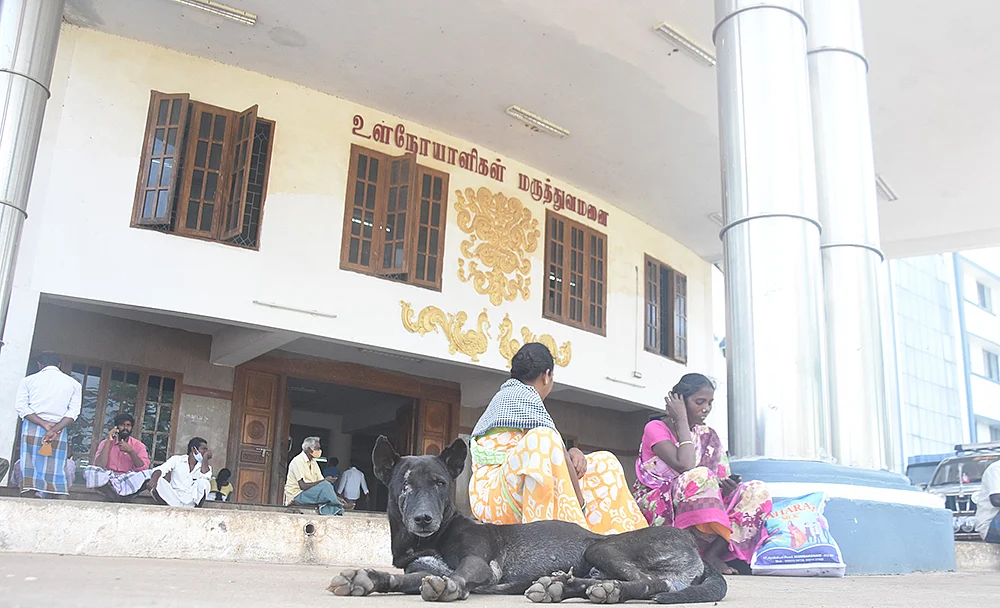 ஸ்கேன் ரிப்போர்ட் - குடலைப் புரட்டும் துர்நாற்றம்... நாய்கள் தொல்லை...