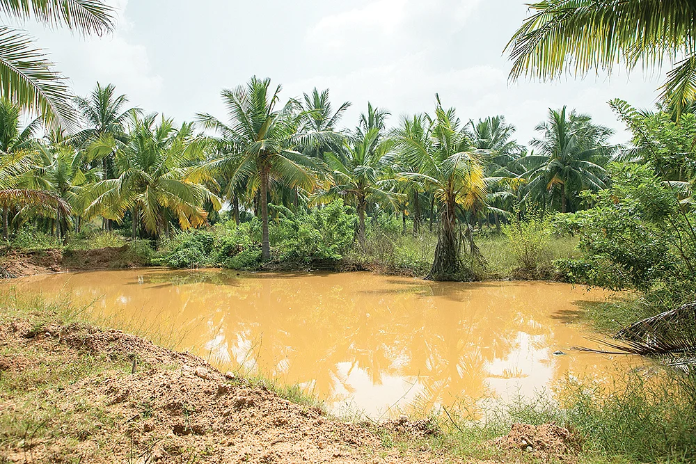 மழைநீர் சேகரிப்பு