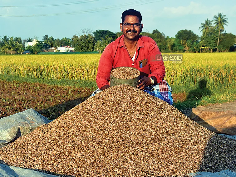 பாரம்பர்ய நெல் சாகுபடி...
விற்பனைக்கு உதவும் வாட்ஸ் அப் குழு!