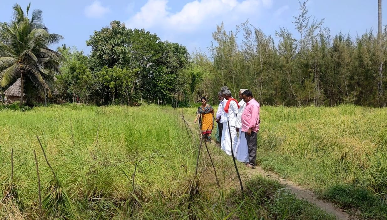 வயலில்