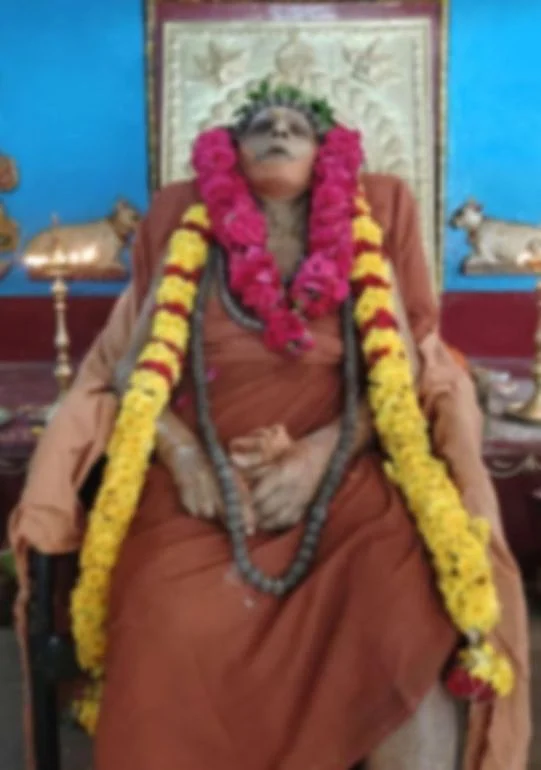 சூரியனார்கோயில் ஆதீனகர்த்தர்