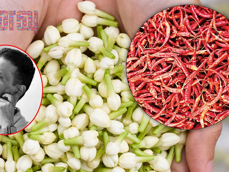 கனவு - ராமநாதபுரம் - வளமும் வாய்ப்பும் - 2
