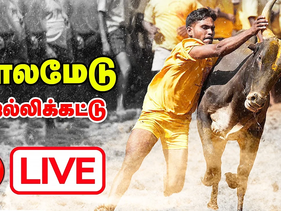 Jallikattu Live 2022 மதுரை பாலமேடு நேரலை 🔴🔴🔴 | ஜல்லிக்கட்டு | Vikatan