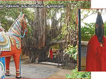 பவனி வரும் பட்டத்துக் காளை... கம்பளியின் மகிமை! - கம்பம் நந்தகோபாலன் தரிசனம்!
