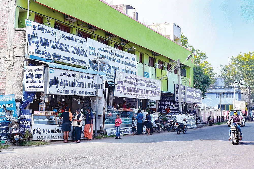 சரியான பதம், மாறாத சுவை...
தித்திக்கும் ஶ்ரீவில்லிபுத்தூர் பால்கோவா!