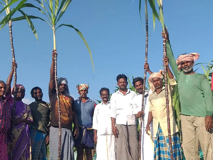 ``₹17-க்கு கொடுக்குறோம்; ஆனா அரசு வெளியே ₹33-க்கு வாங்குது!" - கண்ணீர் வடிக்கும் கரும்பு விவசாயிகள்