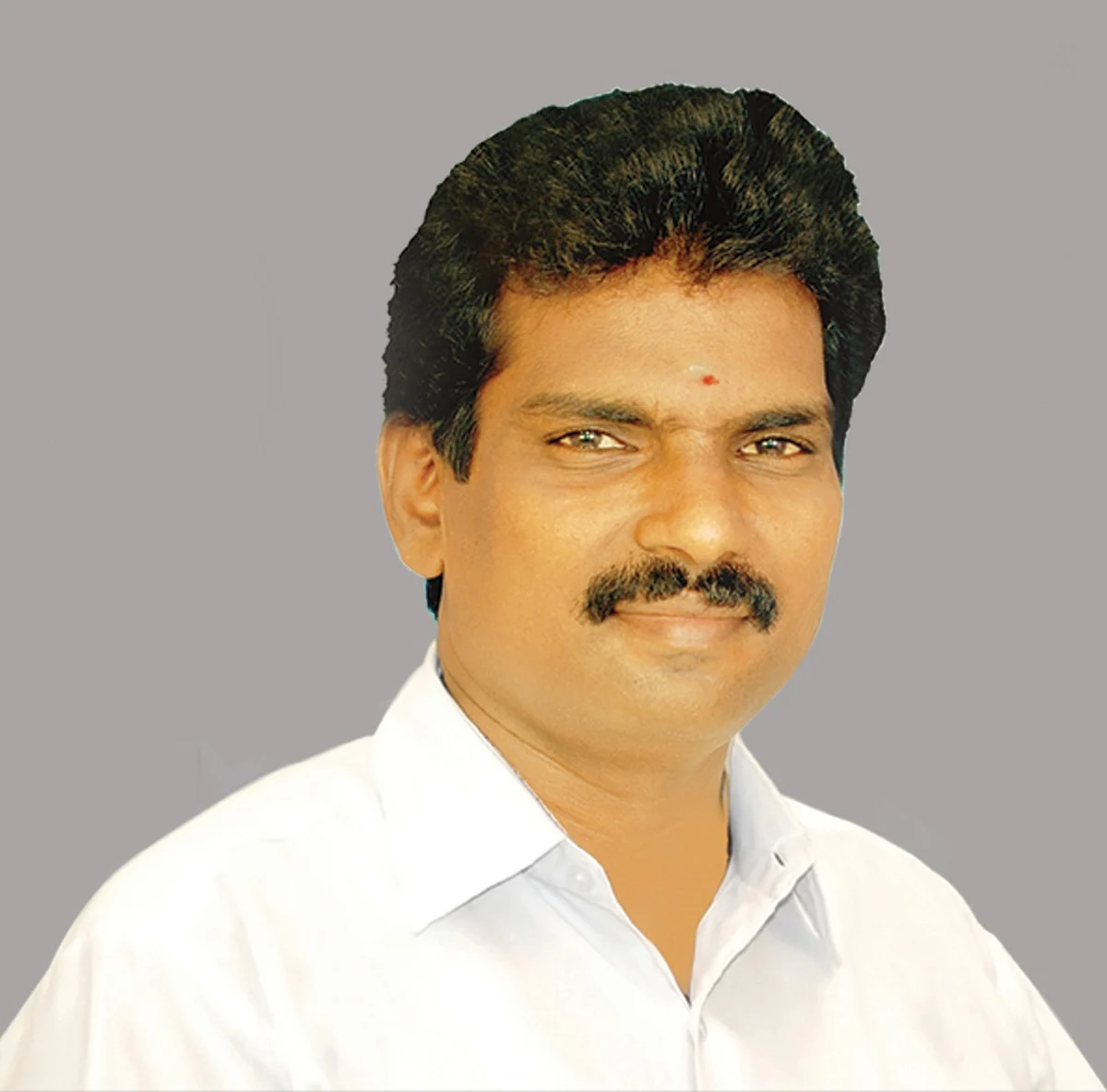 தனியரசு