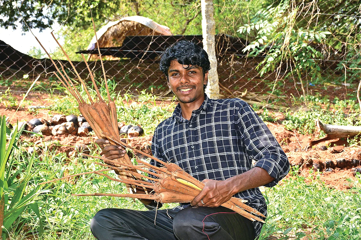 பனங்கிழங்குடன் மணிமுத்து
