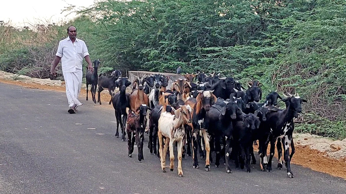 நீலமேகவர்ணம்