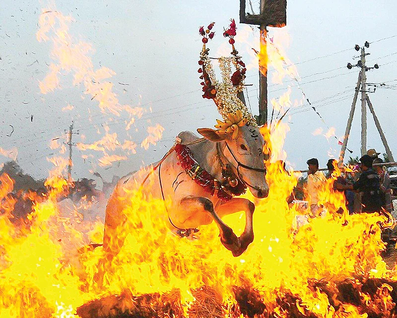 கர்நாடகாவின் பொங்கல்