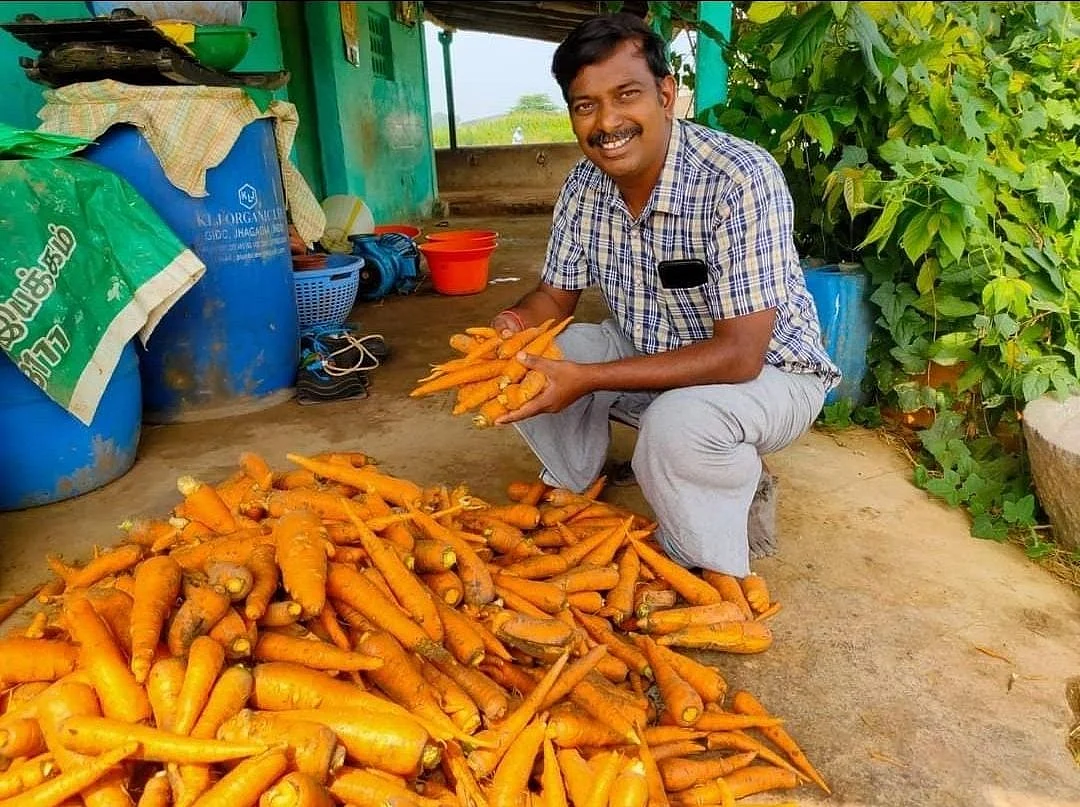 கேரட்