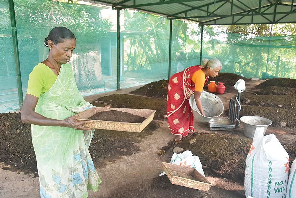 மண்புழு உரம்