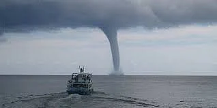 நீர்த்தாரை
