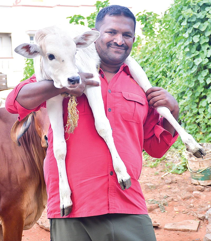 ரவி கௌடா