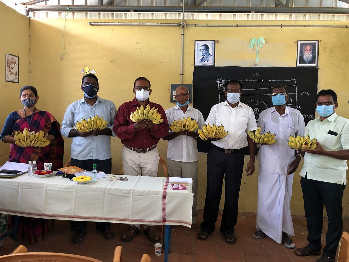 ``வாழை வனம் என்றால் என்ன?