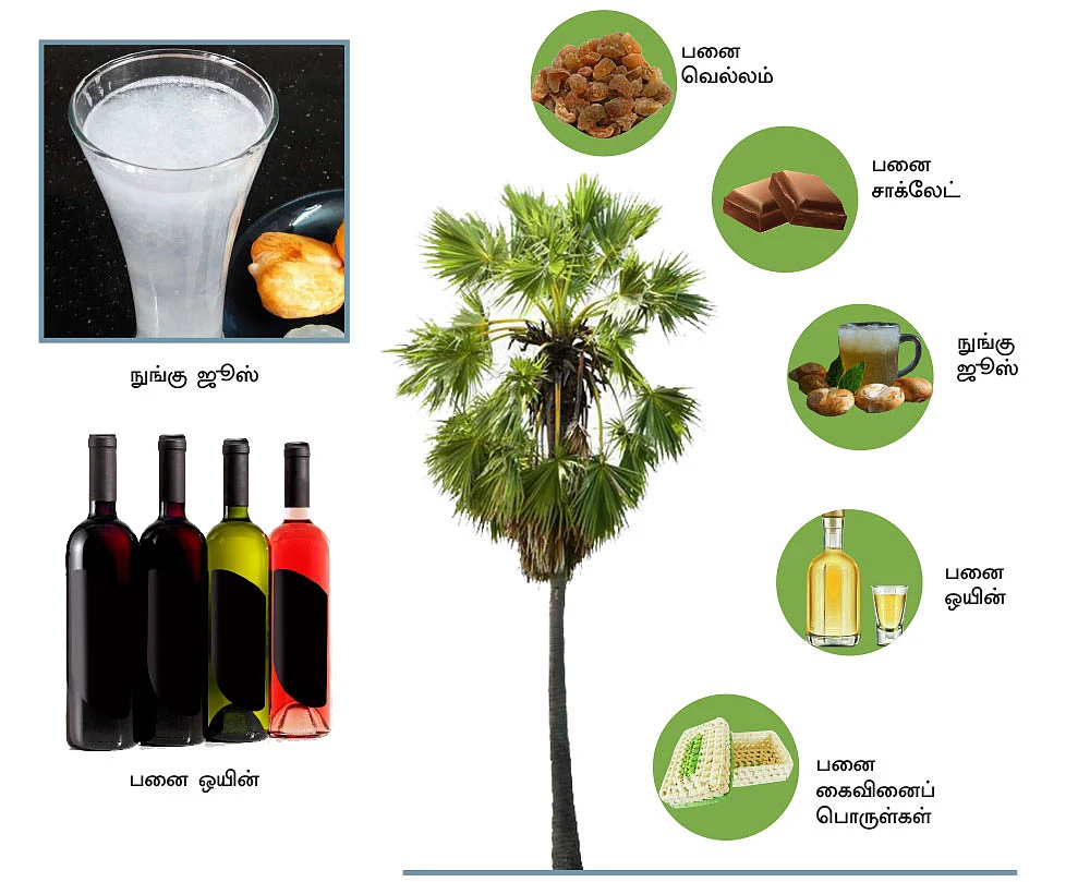 கனவு - முதலில் ராமநாதபுரம் - வளமும் வாய்ப்பும் - புதிய தொடர்