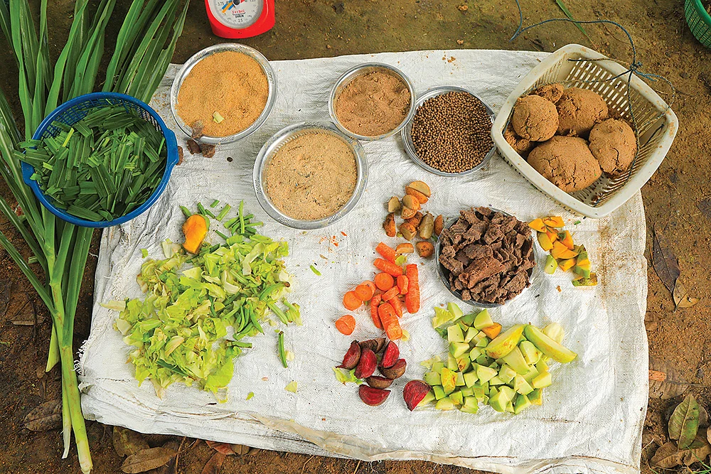 மீன்களுக்கான உணவு