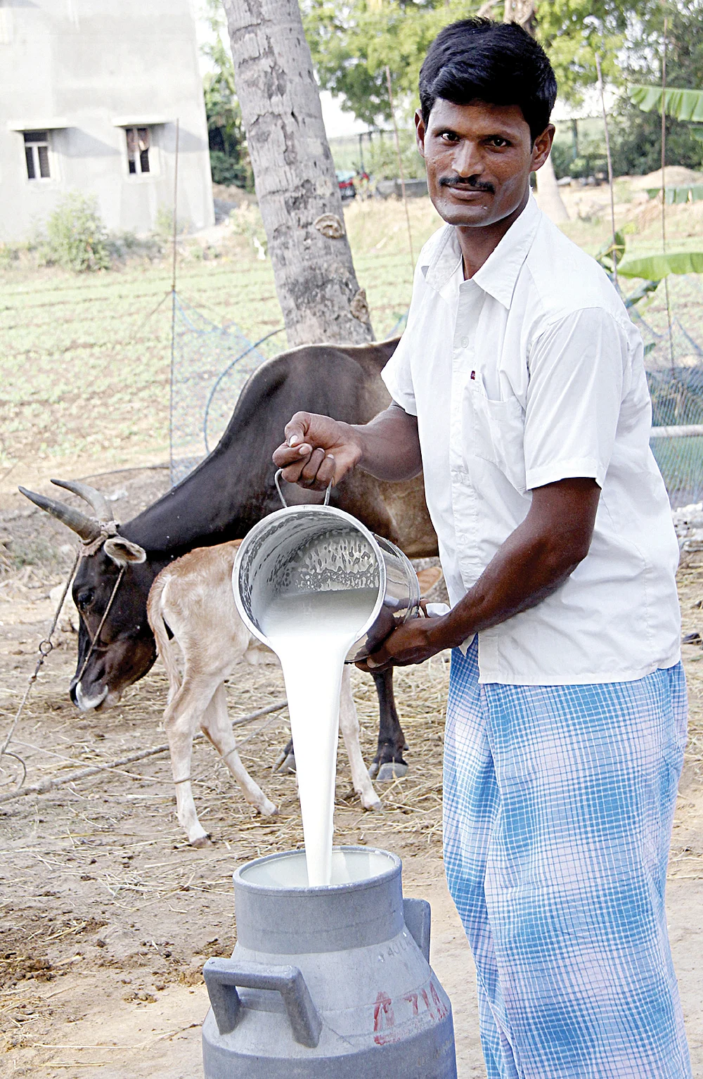 செல்வராஜ்