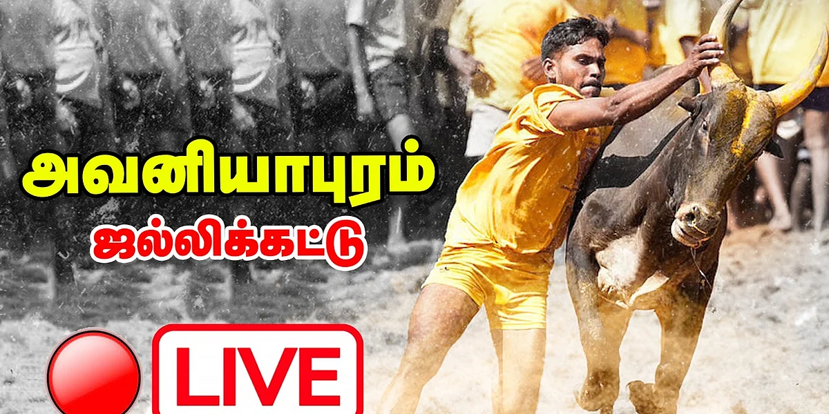 அவனியாபுரம் ஜல்லிக்கட்டு நேரலை
