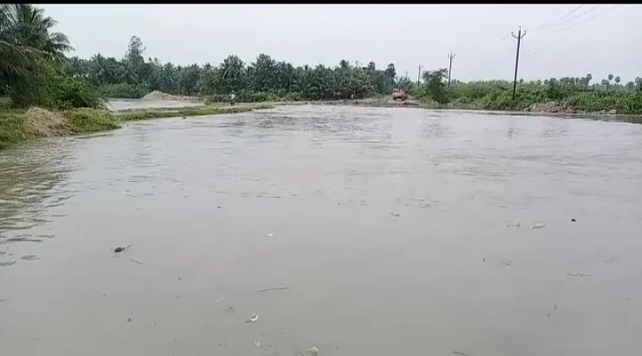 சாலையை சூழ்ந்துள்ள மழை நீர்