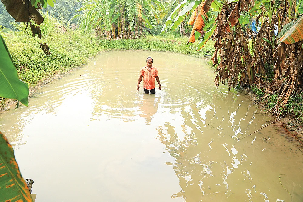 மீன் நாற்றங்கால் (சீட் ஃபார்ம்)