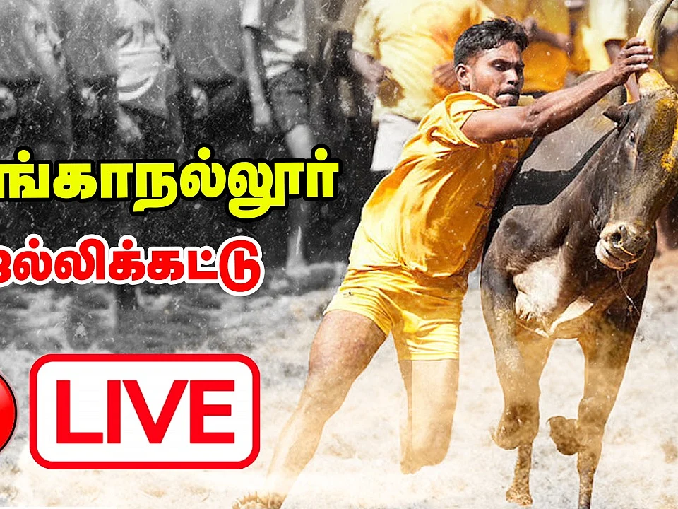 உலக புகழ்பெற்ற அலங்காநல்லூர் ஜல்லிக்கட்டு போட்டி Live