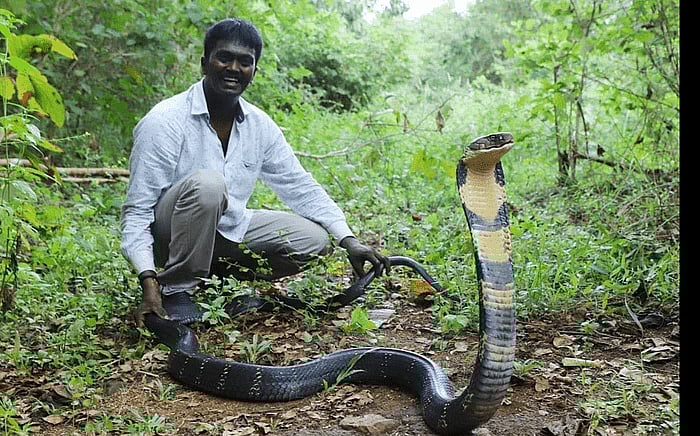 பிரார்த்தனைகள் சரிதான்; ஆனால், `பாம்பு பிடி மன்னன்' வாவா சுரேஷ் செய்த தவறு என்ன தெரியுமா?