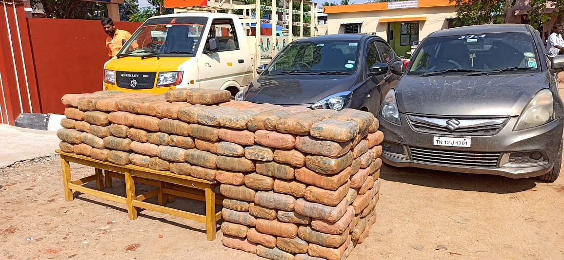 நாகை டு இலங்கை; கடல் மார்க்கமாகக் கடத்தப்படவிருந்த 500 கிலோ கஞ்சா - போலீஸிடம் சிக்கியது எப்படி?!